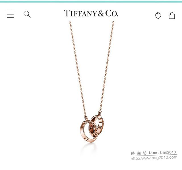Tiffany純銀飾品 蒂芙尼女士專櫃爆款羅馬數字雙環項鏈 Tiffany純銀鎖骨鏈  zgt1768